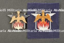 Ensemble d'insignes de la Compagnie de Défense Passive.