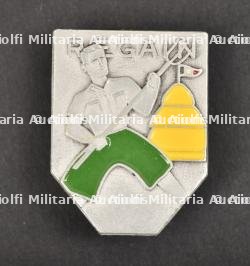Insigne du Groupement 7 — miniature 1