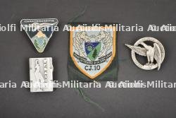 Ensemble d'insignes du Groupement 10.
