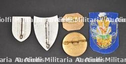 Ensemble d'insignes du Groupement 10. — photo 2