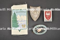 Ensemble d'insignes du Groupement 12.
