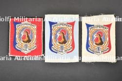 Lot d'insignes de Groupe du Groupement 1. — miniature 1