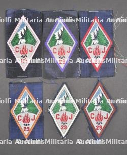 Ensemble d'insignes tissu du Groupement 29.