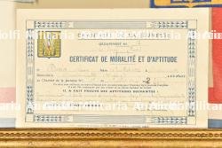 Ensemble d'insignes et diplômes du Groupement 16? — photo 5