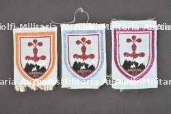 Ensemble d'insignes du Groupement 37.