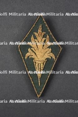 Insigne de l'école des Chefs administratifs des Chantiers de la Jeunesse