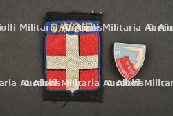 Ensemble d'insignes du Groupement Savoie