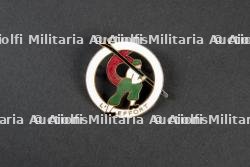 Insigne du groupement 7 — photo 1