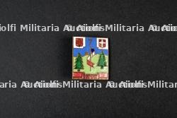 Insigne du groupement 7 — photo 1