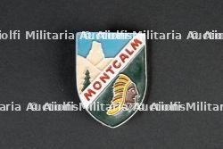 Insigne du groupement 9 — photo 1