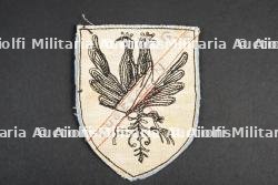 Insigne du groupement 9 — photo 2