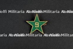 Insigne du groupement 9