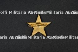 Insigne du groupement 9 — miniature 2