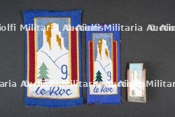 Insignes du groupement 9