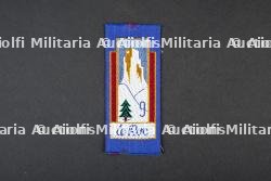 Insignes du groupement 9 — miniature 4