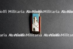 Insignes du groupement 9 — miniature 6