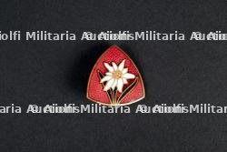 Insigne du groupement 10 — photo 1