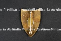 Insigne du groupement 10 — miniature 2