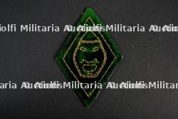 Insigne du groupement 10 — photo 1
