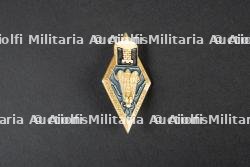Insigne du groupement 10