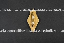Insigne du groupement 10 — miniature 2