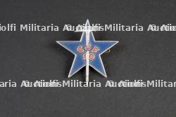 Insigne du groupement 10