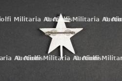 Insigne du groupement 10 — miniature 2