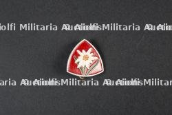 Insigne du groupement 10 — photo 1