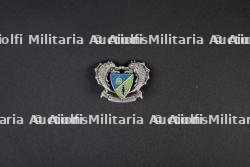 Lot d'insignes du groupement 10 — miniature 9