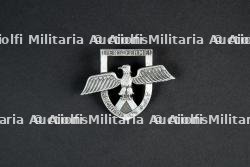 Insigne du groupement 10 — photo 1
