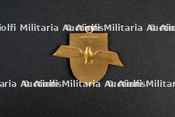 Insigne du groupement 10 — photo 2