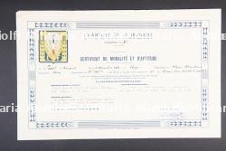 Certificat du groupement 11 et souvenirs d'un futur Ministre de la Vème République — photo 10