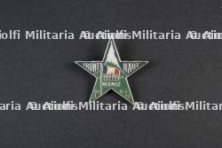Insigne du groupement 12