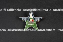 Insigne du groupement 12