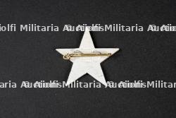 Insigne du groupement 12 — photo 2