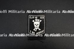 Insigne du groupement 12 — photo 1