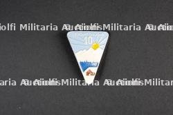 Insigne du groupement 12 — miniature 1
