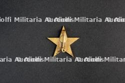 Insigne du groupement 12 — miniature 2
