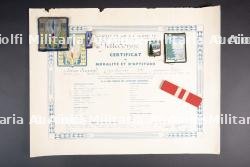 Insignes du groupement 12 — miniature 1
