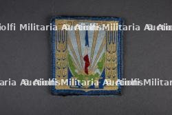Insignes du groupement 12 — miniature 2