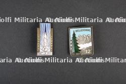 Insignes du groupement 12 — miniature 8