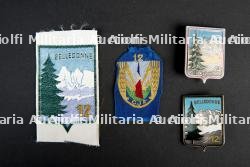 Insignes du groupement 12