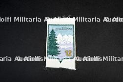 Insignes du groupement 12 — miniature 2