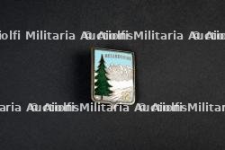 Insignes du groupement 12 — miniature 6