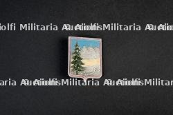 Insignes du groupement 12 — photo 8