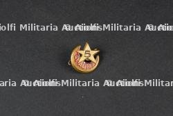 Insigne du groupement 43 Sidi Brahim — miniature 3