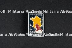 Variante de l'insigne du groupement 43 Sidi Brahim