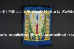 Lot d'insignes du groupement 43 Sidi Brahim — photo 2