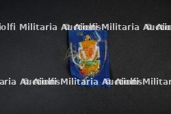 Lot d'insignes du groupement 43 Sidi Brahim — miniature 5
