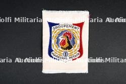 Lot d'insignes du Groupement 1 — photo 2